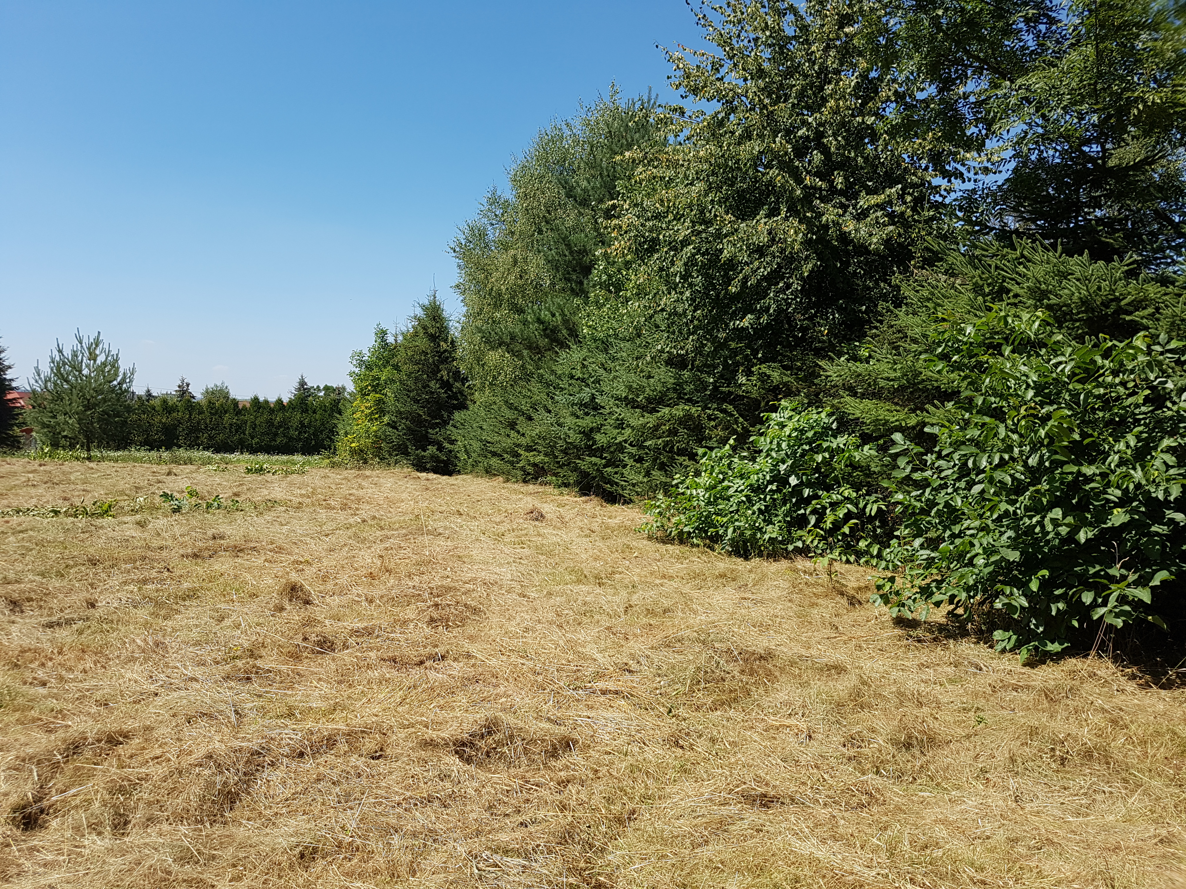 Zakamycze -atrakcyjna, WZ na 2 domy, kompletne media, cisza, dużo zieleni.