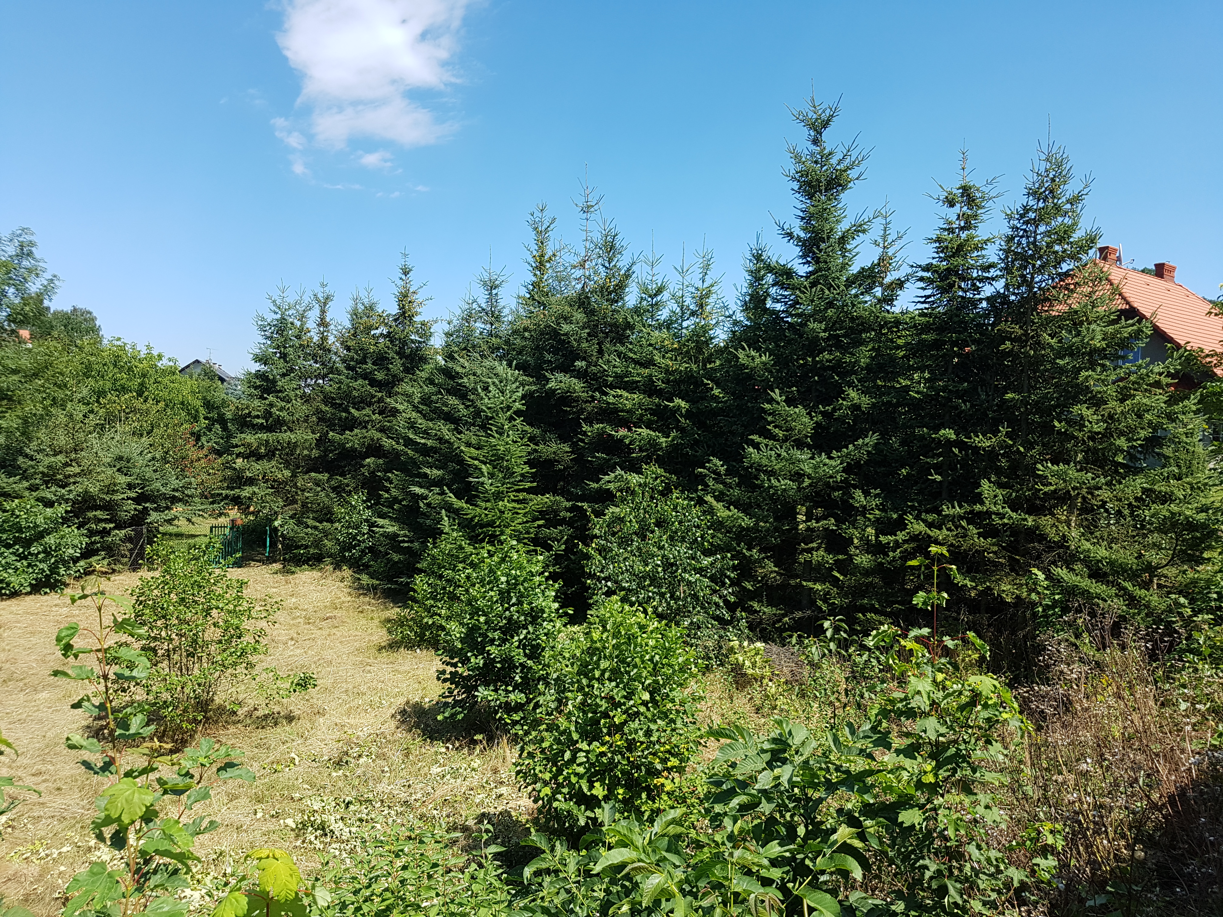 Zakamycze -atrakcyjna, WZ na 2 domy, kompletne media, cisza, dużo zieleni.